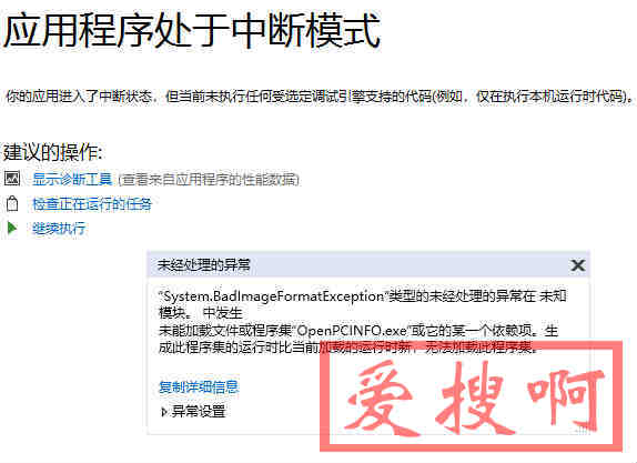 System.BadImageFormatException System.BadImageFormatException
