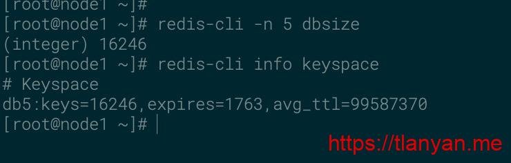 redis查看key信息