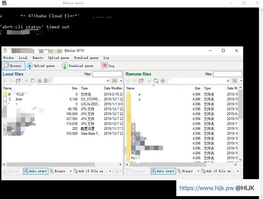 bitvise登录成功窗口