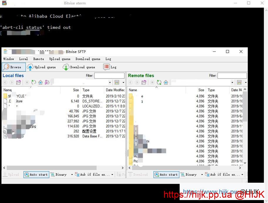 bitvise登录成功窗口